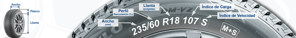 Datos del neumatico